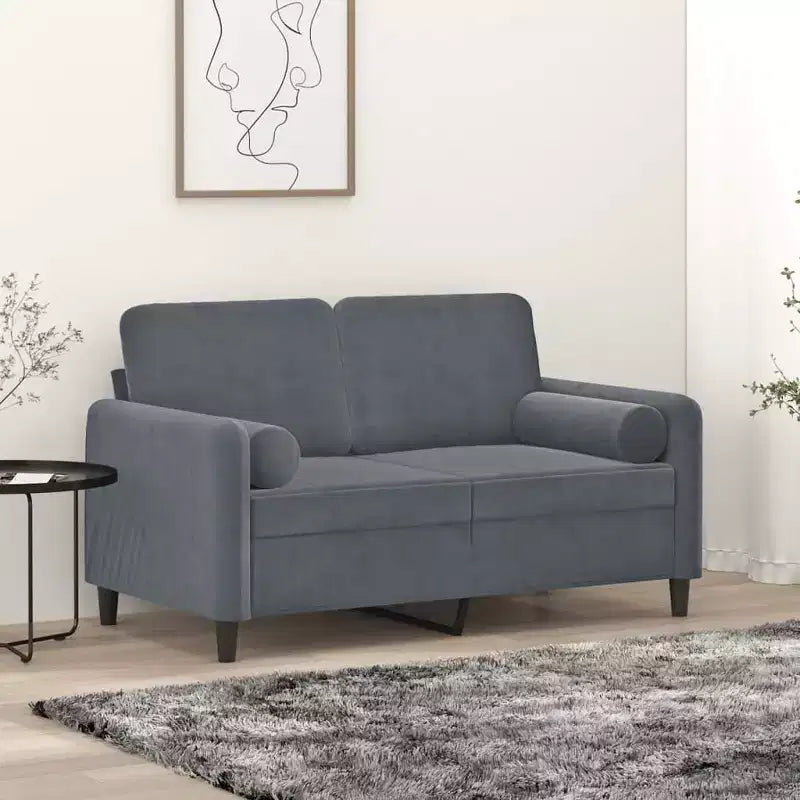 Canapé 2 places avec coussins décoratifs Gris Foncé 47,2 Velours